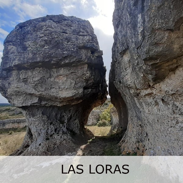 Las Loras